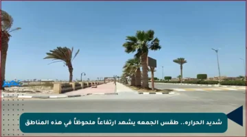 شديد الحرارة.. طقس الجمعة يشهد ارتفاعاً ملحوظاً في هذه المناطق